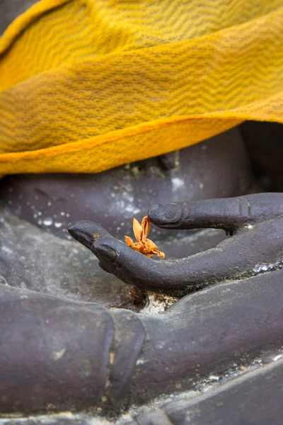 Nahaufnahme trockene Blume auf Hand Buddha-Statue — Stockfoto