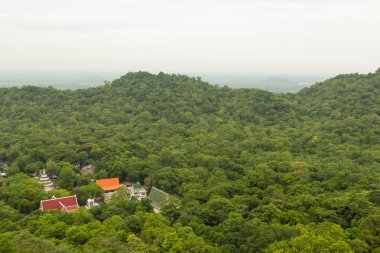 Landscape the temple in forest