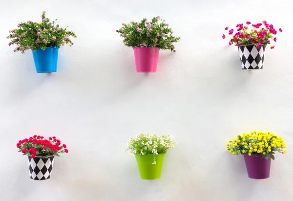 Espositore Jardiniere e fiore a parete — Foto Stock