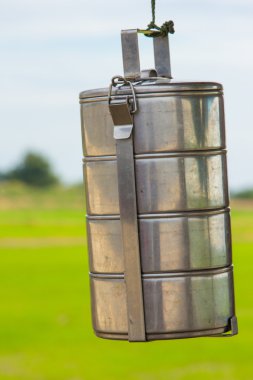 yeşil alan arka plan üzerinde closeup tiffin taşıyıcı