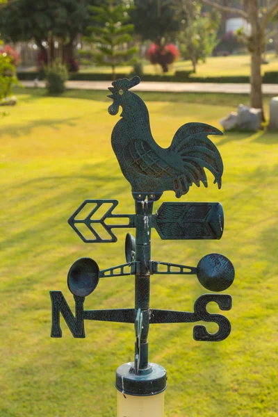 gülleri bahçesinde çimenlerin üzerinde