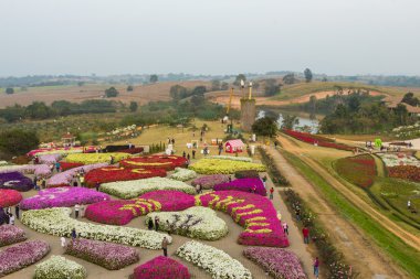 Üstten Görünüm flora park