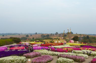 Yatay görünüm flora park