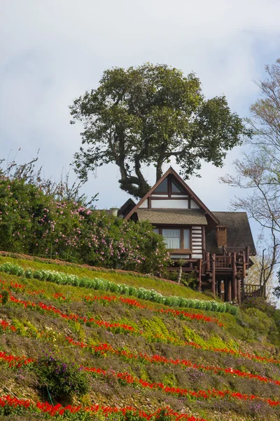 Casa de madera en una colina en la naturaleza —  Fotos de Stock