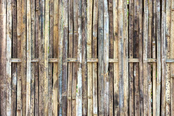 Bambu vägg konsistens och bakgrund — Stockfoto