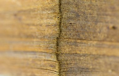 makro sayfası rounder conner eski kağıt