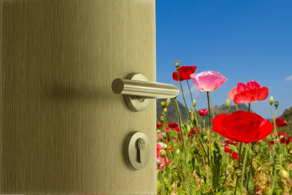 Kapıyı açık mavi gökyüzü'haşhaş alanına