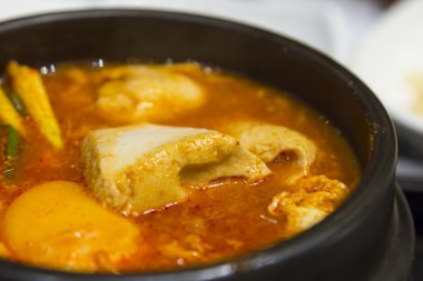 Tofu Kore mutfağı ile portre kimchi güveç