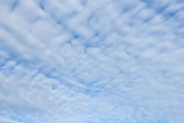 青い空に波雲 — ストック写真