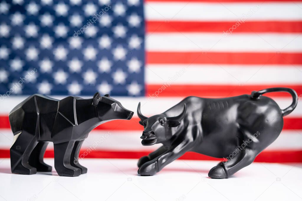 stock market bull and bear with american flag as background - Concept of investment in US equity shares market