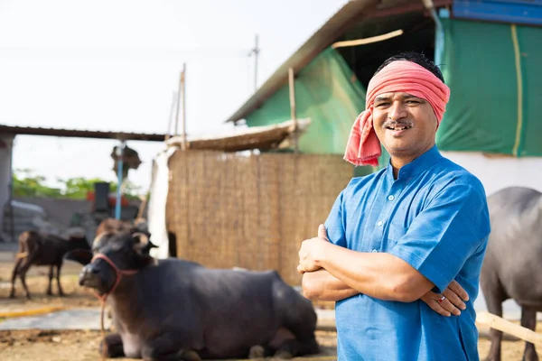Vol vertrouwen staande vrolijke lachende dagboekboer op boerderij met gekruiste armen door te kijken naar camera - concpet van succesvolle melkveehouderij en kleine agri-business — Stockfoto
