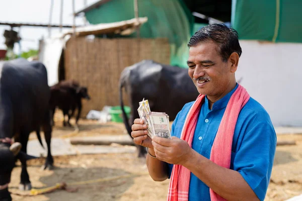 Glimlachende melkveehouder die geld telt op boerderij - concept van succesvol zakendoen, winst, financiën en bankieren — Stockfoto