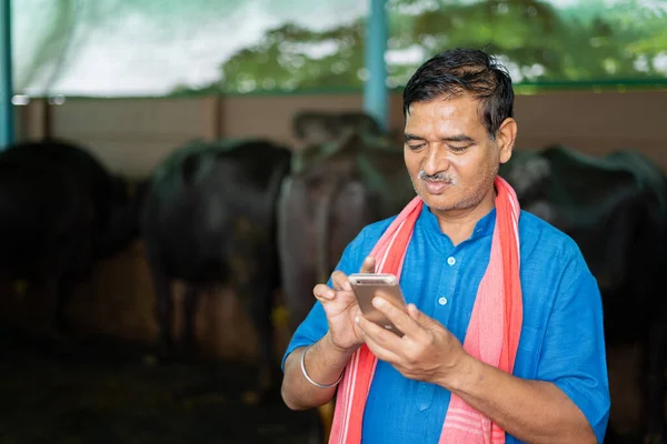 Indiase melkveehouder bezig met het gebruik van mobiele telefoon op boerderij - concept van technologie, internet en kleine landbouwbedrijven. — Stockfoto