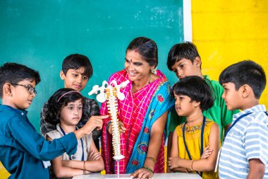 Teacher with human spine biological model explaining to students during anatomy class at school - conept of stem education, cognition and development.