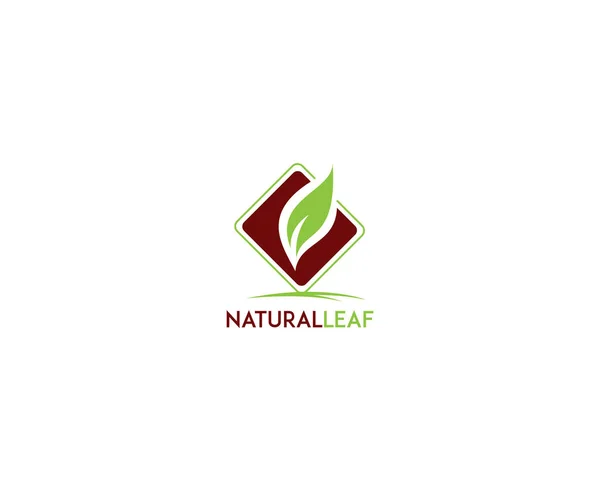 Logo Feuille Biologique Design Logo Produits Naturels Icône Cosmétique Logo — Image vectorielle