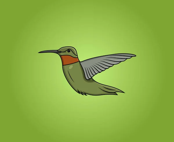 Humming Bird Vector Icon Illustration Green Background Modern Colorful Hummingbird — Stockvektor