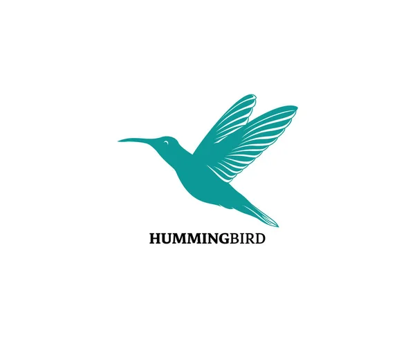 Hummingbird Logo Design Vector Illustration Flying Bird Hummingbird Logo Vector — Stockový vektor