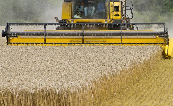 Gros plan de la moissonneuse-batteuse au travail — Photo