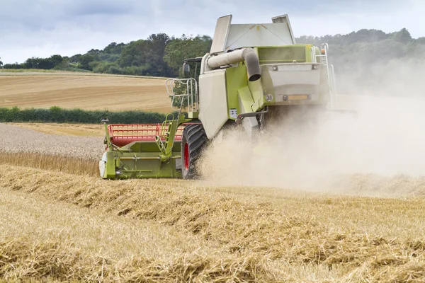 Combineren harvester snijden granen — Stockfoto