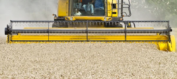 Close up van een combine harvester op het werk — Stockfoto