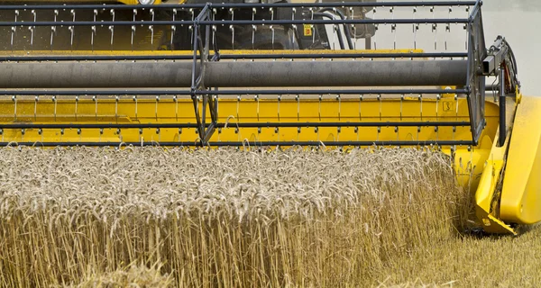 Close up van een combine harvester op het werk — Stockfoto