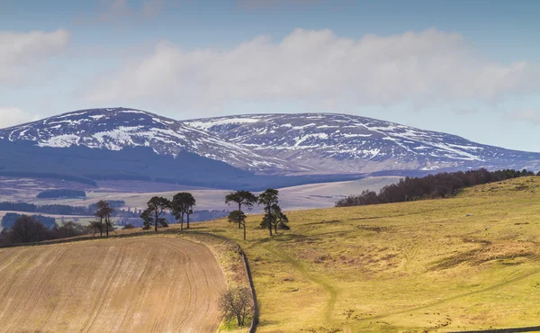 Cheviot τους λόφους, northumbria, Ηνωμένο Βασίλειο — Φωτογραφία Αρχείου