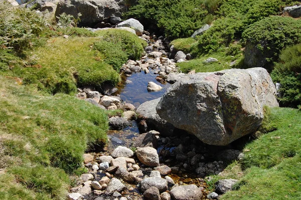 The Creek — Stock Photo, Image