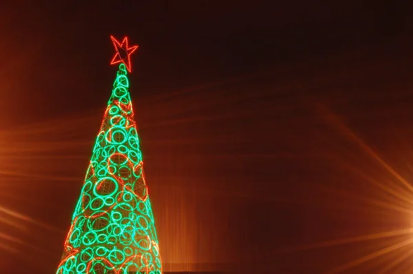 Weihnachtssterne — Stockfoto