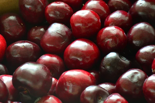 Cerises — Photo