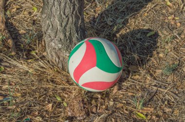 Voleybol topu, parkta bir ağaç gövdesinin yanında.