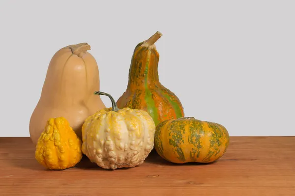 Conjunto Cinco Calabazas Sobre Madera Fondo Blanco —  Fotos de Stock