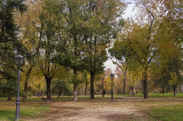 Πάρκο Στη Μαδρίτη Φθινόπωρο Δέντρα Χρυσά Φύλλα Φανάρια Και Ξύλινα — Φωτογραφία Αρχείου