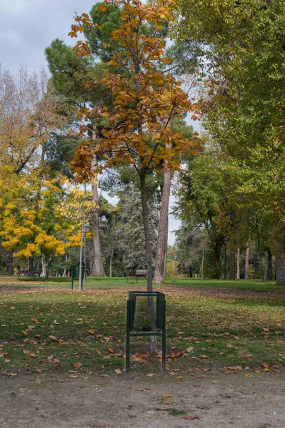 Madrid 'de bir parkta metalik yeşil bir çöp tenekesi. İspanya