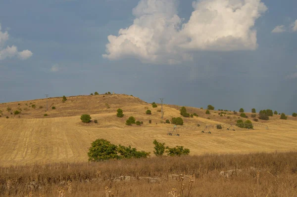 Sebuah Ladang Kering Musim Panas Dengan Langit Tertutup Awan Torrijos Stok Gambar