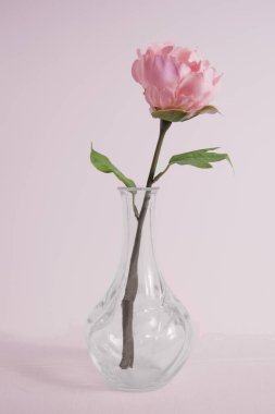 glass vase with artificial camellia on a background of pacific pink