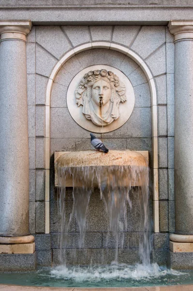 石の顔をした装飾噴水がマドリード広場に鳩に面しています スペイン — ストック写真