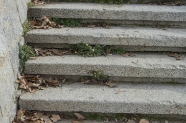 Kuru yapraklar, otlar ve çöplerle dolu granit taş basamaklar.