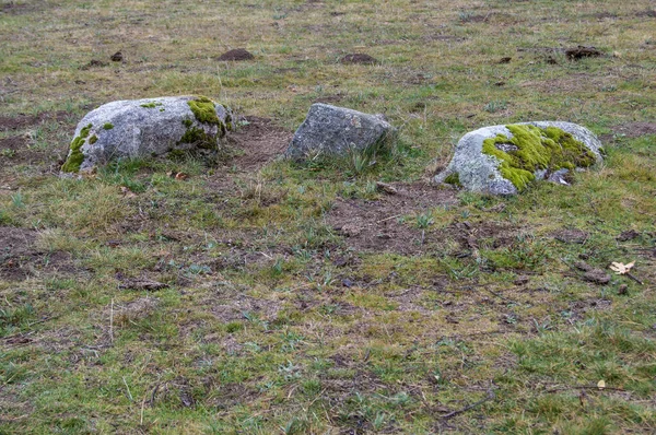 Madrid Dağları Nın Tipik Taşlı Arazisi Spanya — Stok fotoğraf