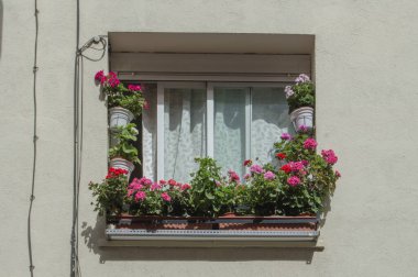 Kırmızı ve fuşya sardunyalı tencereleri olan izole bir pencere.