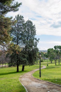 Madrid 'de bir parkta ağaçlar ve sokak lambası olan bir patika. İspanya