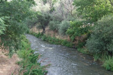 Madrid 'deki Manzanares doğrusal parkından geçen Manzanares Nehri' nin görüntüsü