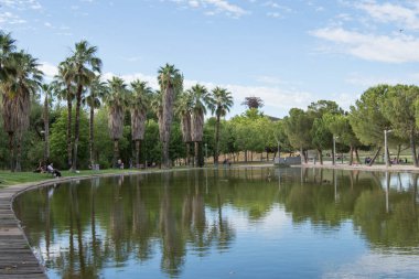 Madrid 'deki Manzanares doğrusal parkında ağaçlar ve palmiye ağaçları olan gölet..