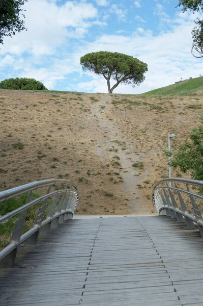 Brug Rivier Manzanares Een Dennenboom Achtergrond Het Lineaire Park Manzanares — Stockfoto