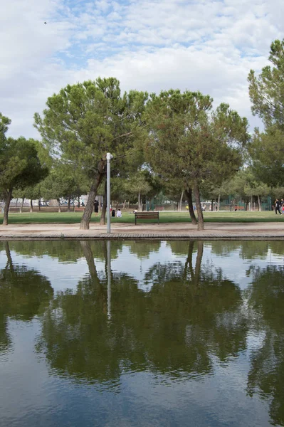 马德里曼萨纳雷斯线性公园的一个池塘里 有两棵树和一条长椅 西班牙 — 图库照片