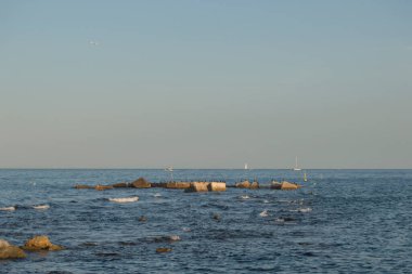 Mediterranean sea with rocks on which birds and boats perch in the background in Barcelona. Spain