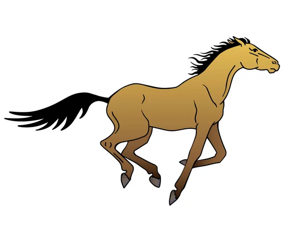 Caballo Galopante Caballo Akhal Teke Traje Dun Vector Ilustración Todo — Vector de stock