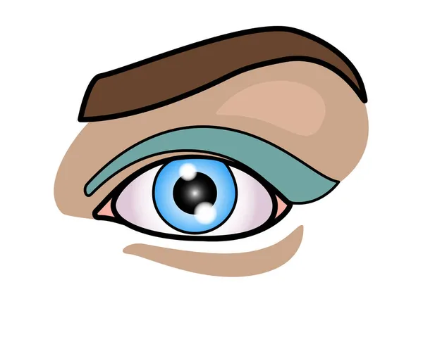 Mädchenauge Und Augenbraue Vollfarbige Illustration Schöne Weibliche Augen Mit Make — Stockvektor