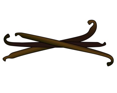 Vanilya kabuğu - logo veya piktogram için tam renk vektör resmi. Vanilya kabukları, baharatlar - işaret veya simge için tam renk ögesi