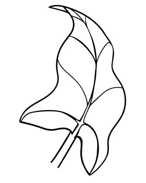Blatt Calla Blütenstand Vektor Färbung Bild Für Logo Oder Piktogramm — Stockvektor