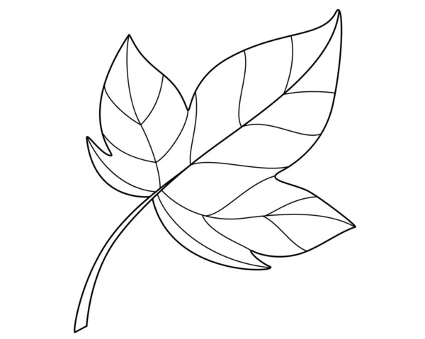 Cotton Leaf Plant Element Vector Linear Picture Coloring Outline Cotton — Vetor de Stock